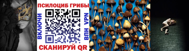 цена наркотик  Соль-Илецк  Псилоцибиновые грибы Cubensis 